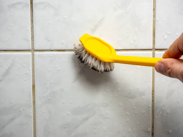 Best Emergency Mold Removal  in Rlsbad, CA