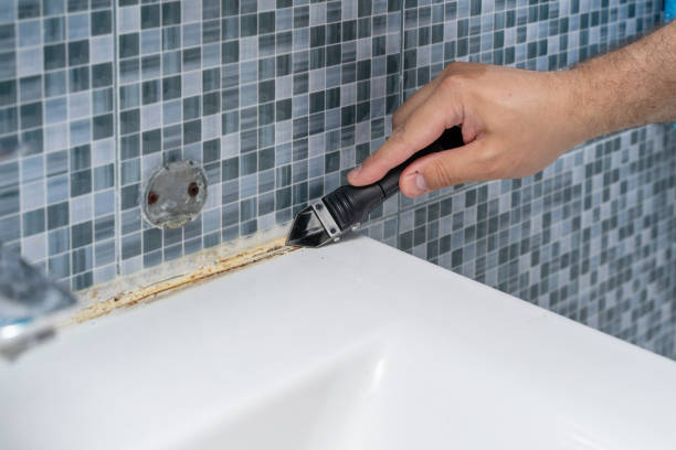 Best Mold Inspection  in Rlsbad, CA